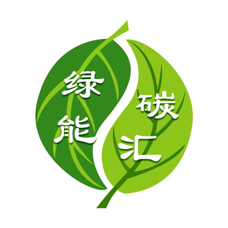绿色转型:某行业企业如何有效降低碳排放