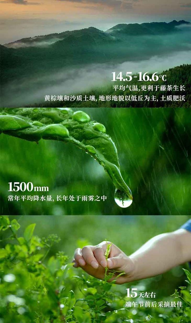 碳汇