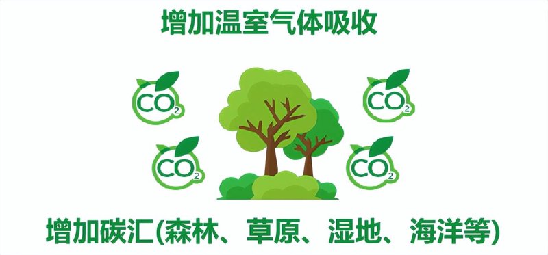 碳排放：行业绿色转型的挑战与机遇