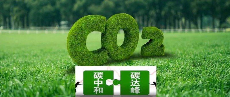 碳达峰：理解、目标与行动